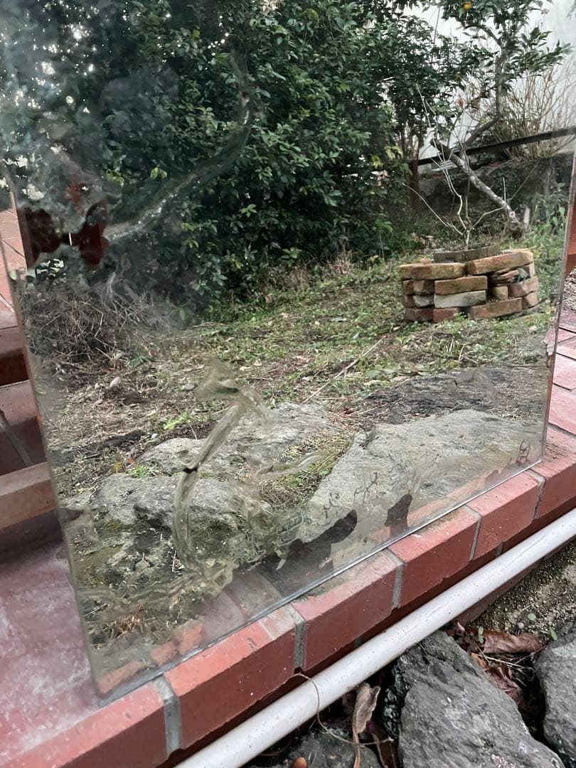 昭和レトロ　サクラタイヤ　大型ミラー