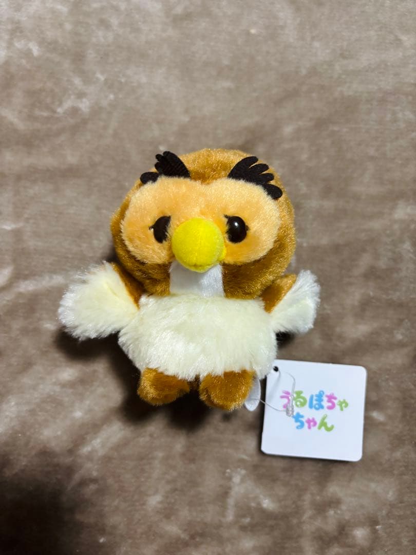 ディズニーストア　福袋　2026 まとめ売り