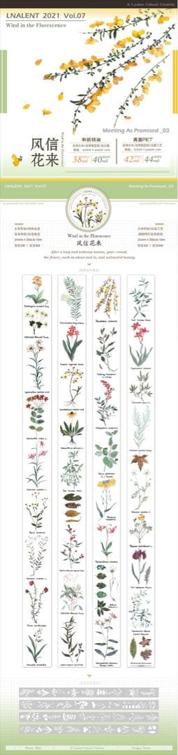 【4巻セット】ビンテージレトロガール　少女　花　lnalent