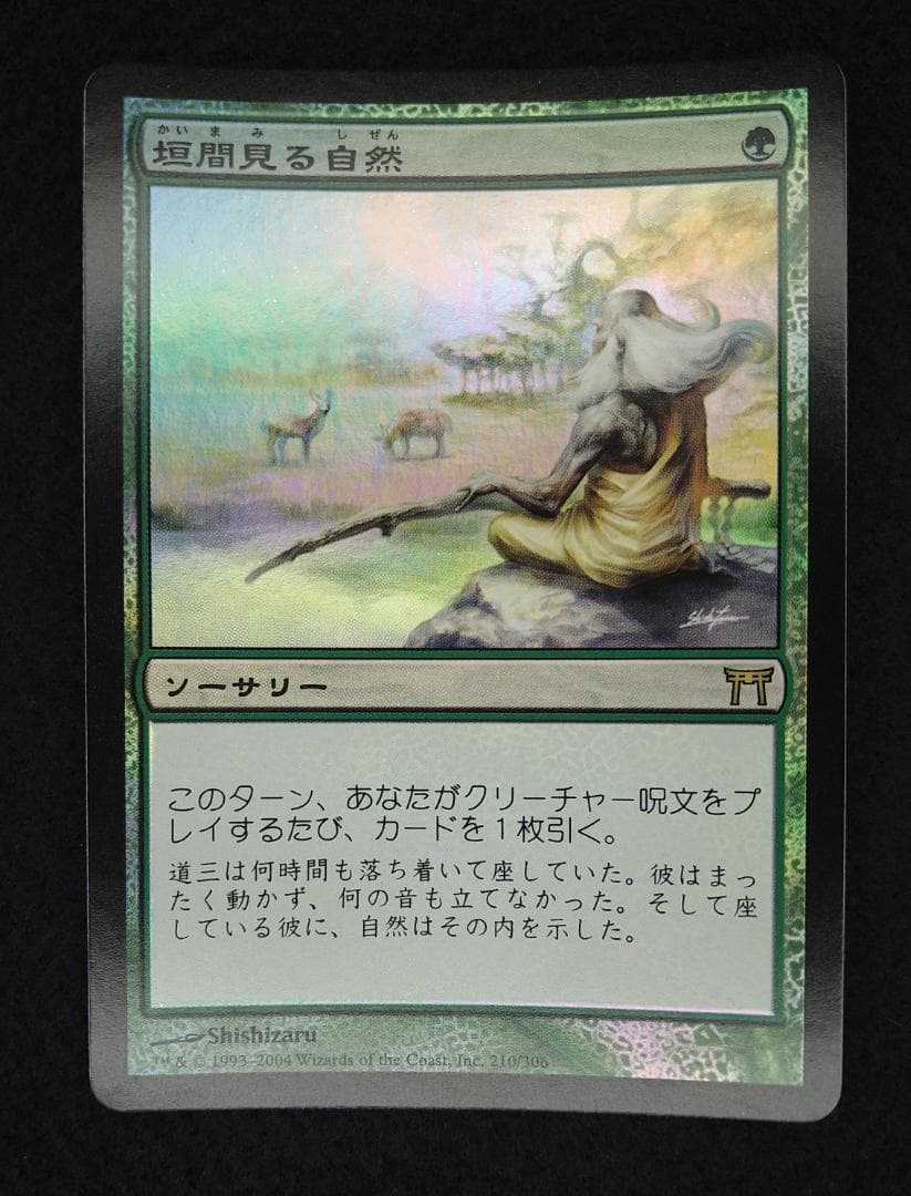 垣間見る自然　CHK　foil　日本語