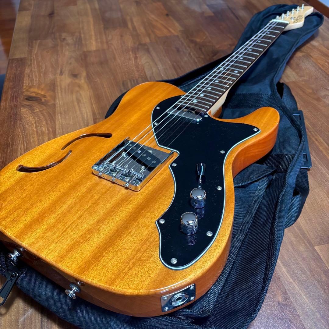 美品 SCHECTER OL-PT-TH 限定生産 シンライン 即購入可