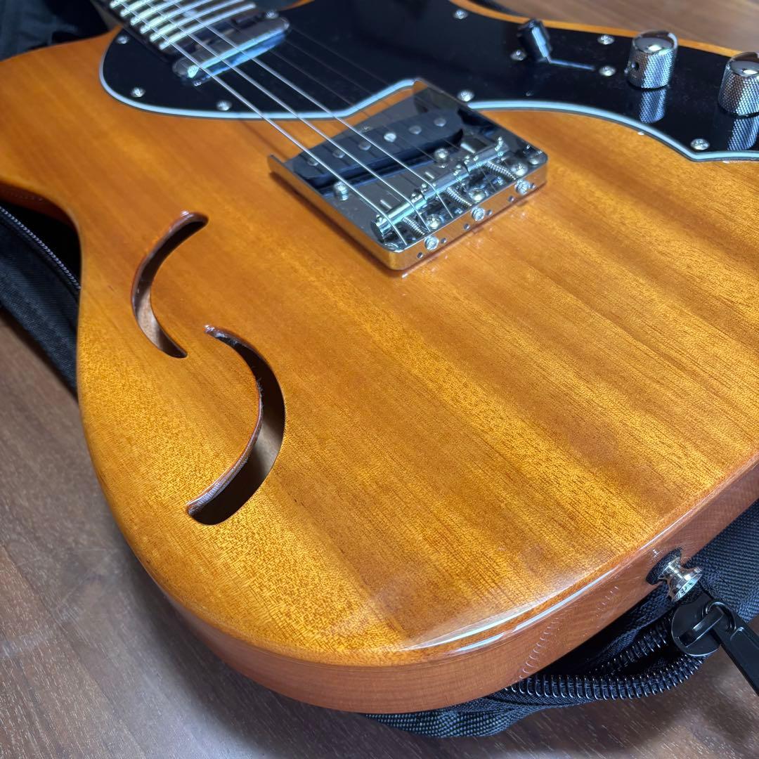 美品 SCHECTER OL-PT-TH 限定生産 シンライン 即購入可