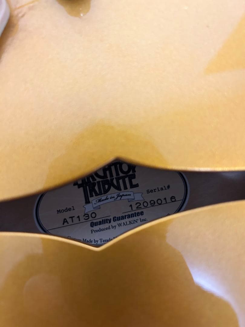 セミアコ　ARCHTOP Tribute ゴールド