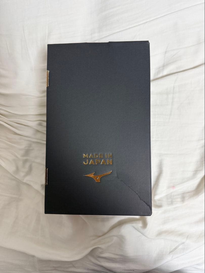 モレリアネオ4β