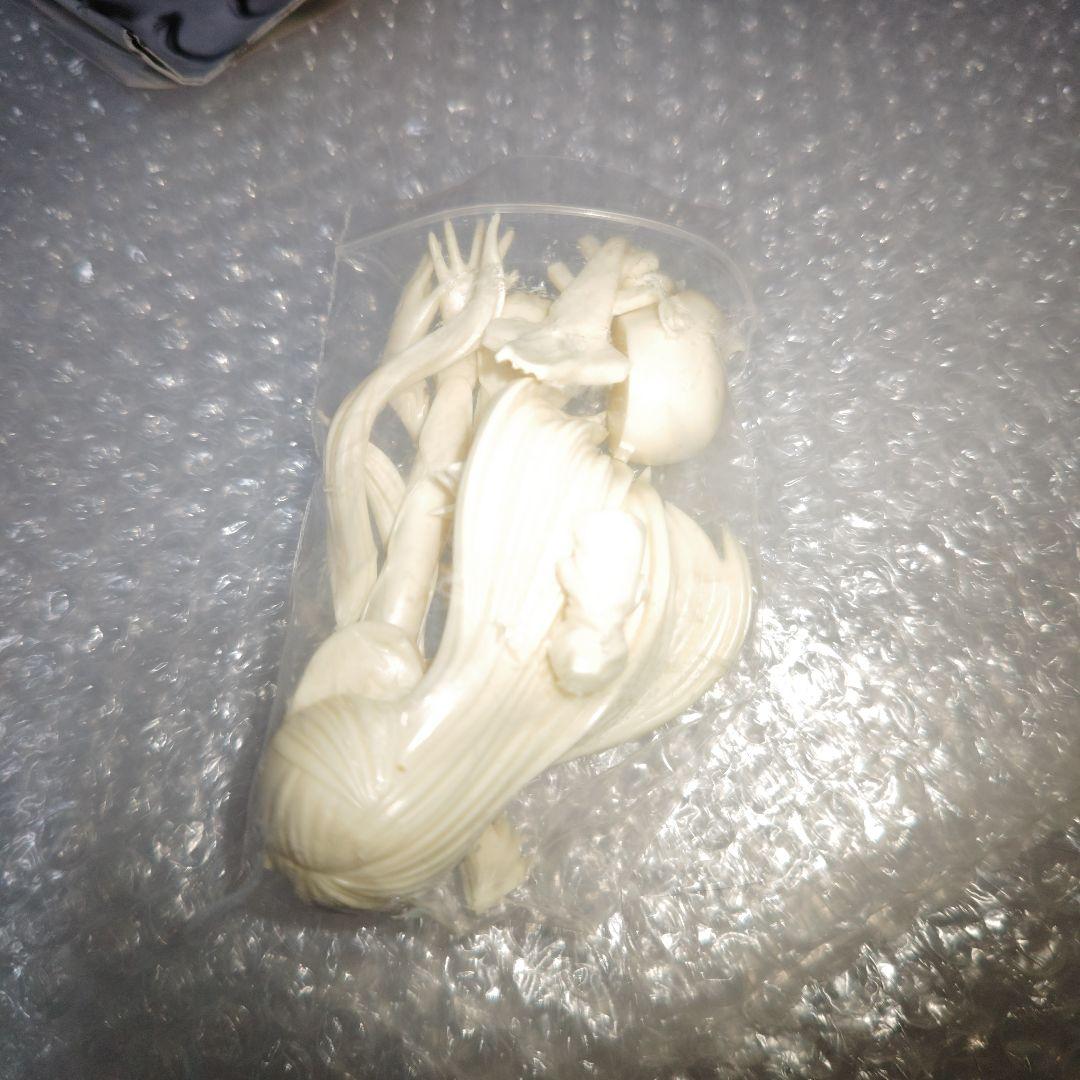 ポリゴニア　式波・アスカ・ラングレー　プラグスーツ　ガレージキット　未組立