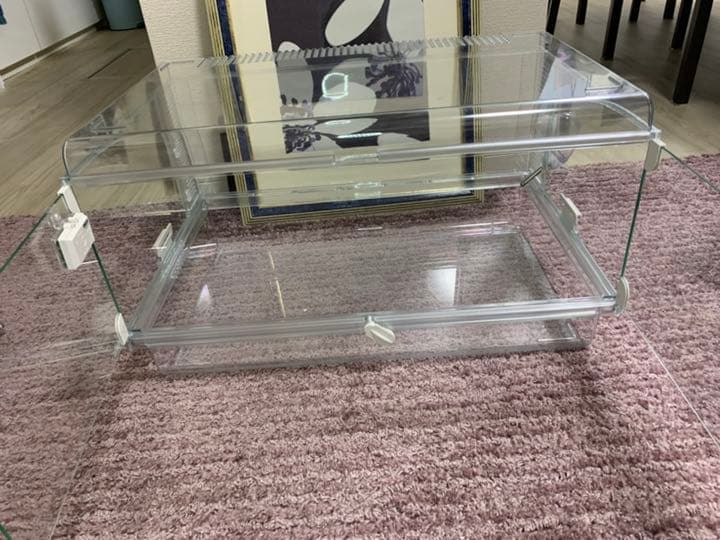 ハリネズミスターターセット