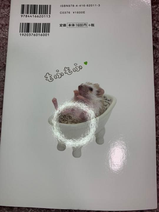 ハリネズミスターターセット