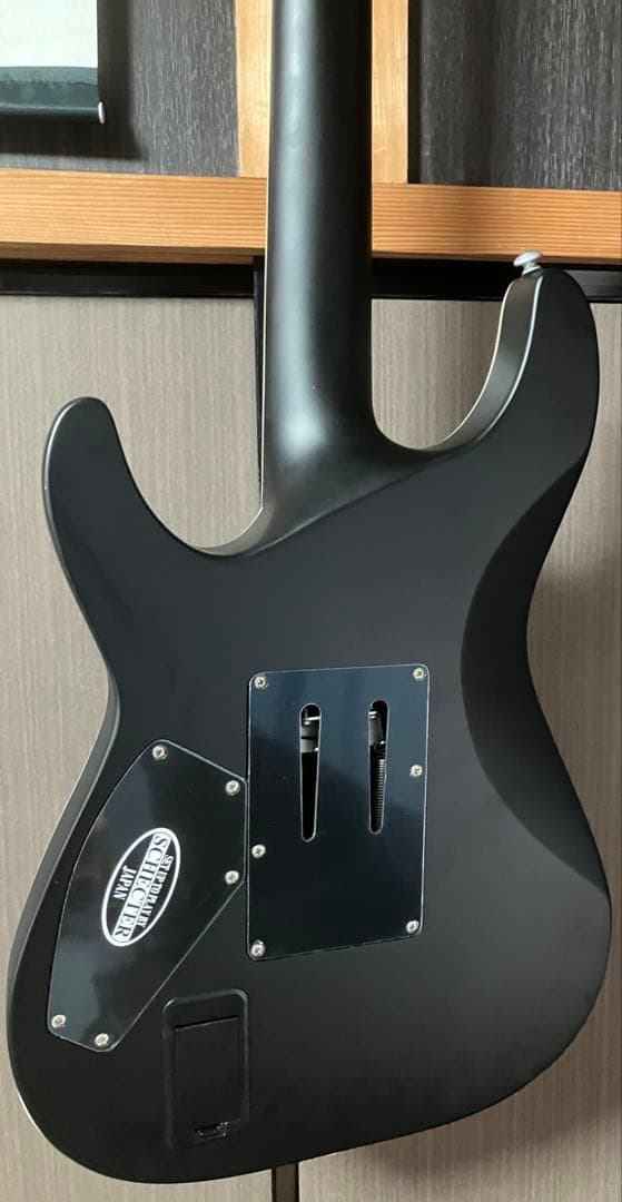 ギター SCHECTER DAMIEN PLATINUM-6FR