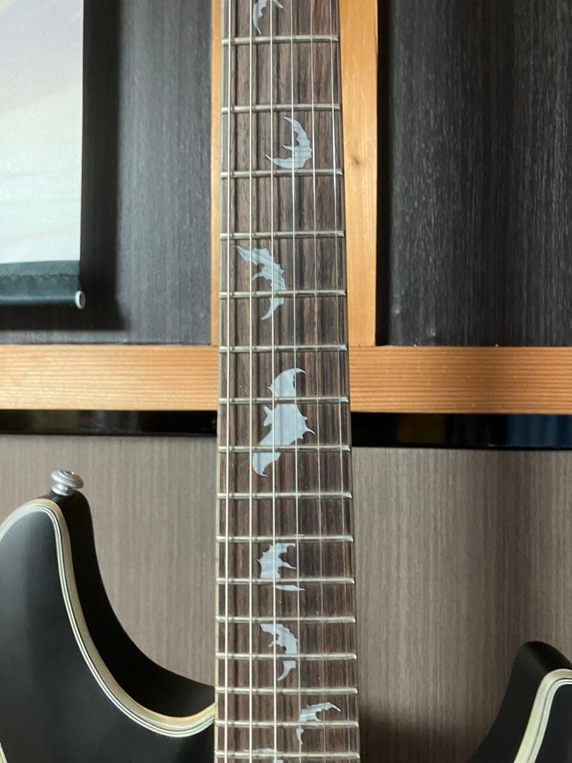 ギター SCHECTER DAMIEN PLATINUM-6FR