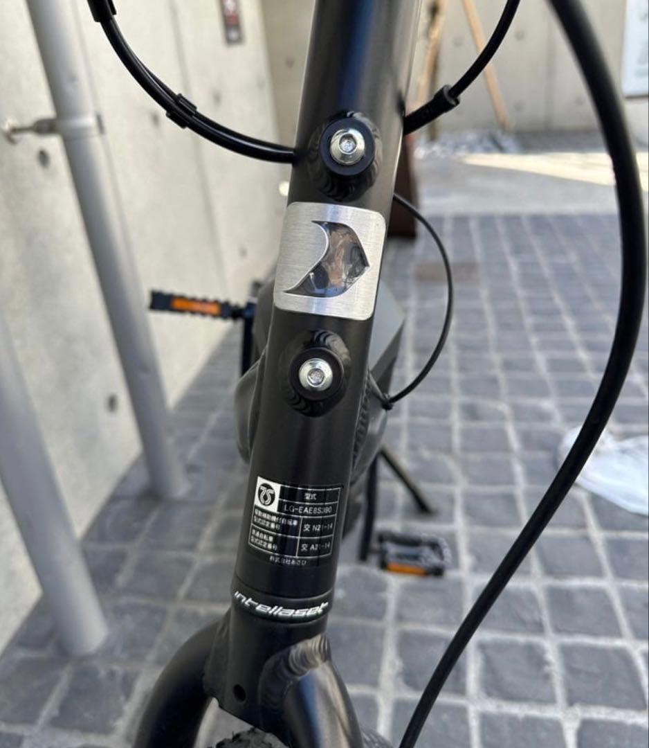 ルイガノEASEL-E　（ミニベロEバイク）