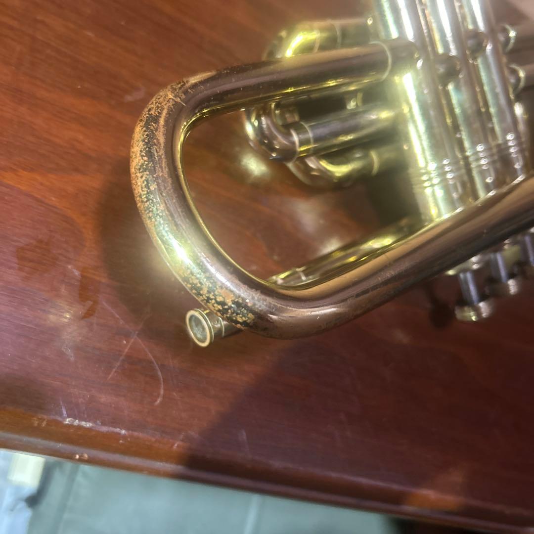 え*し様 ドイツ製コルネット