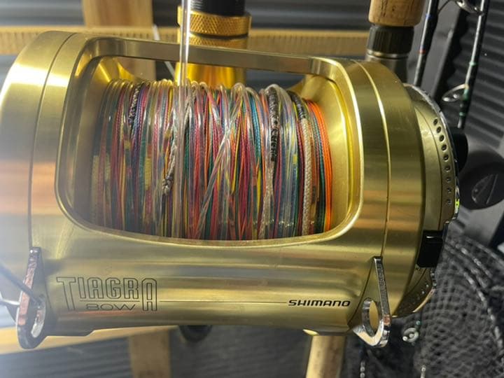 トローリングリール