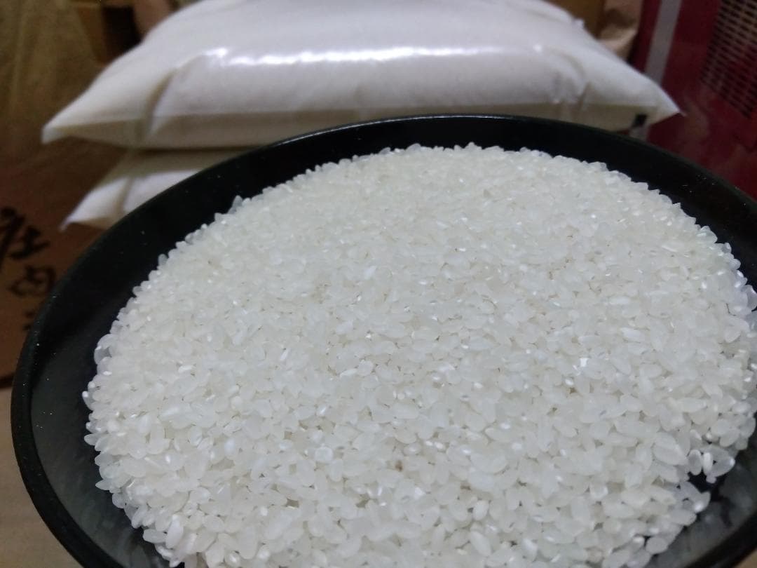 令和7年産　山形県産　コシヒカリ中米 30kg