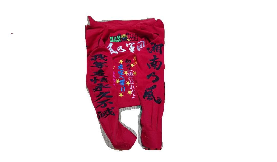 湘南乃風　特攻服　上下セット　刺繍　寅一ニッカ