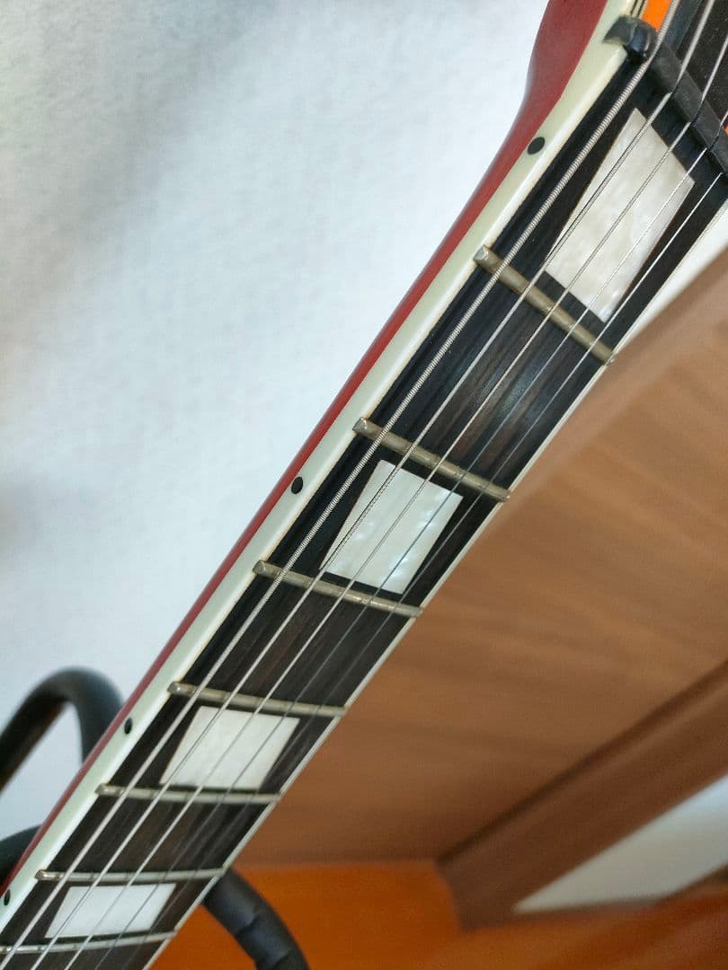 G-レオン -HIROKAZ Signature Model ESPカスタム