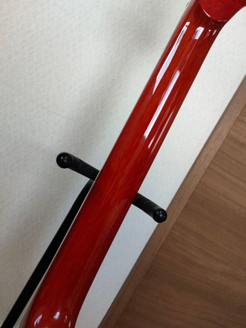 G-レオン -HIROKAZ Signature Model ESPカスタム