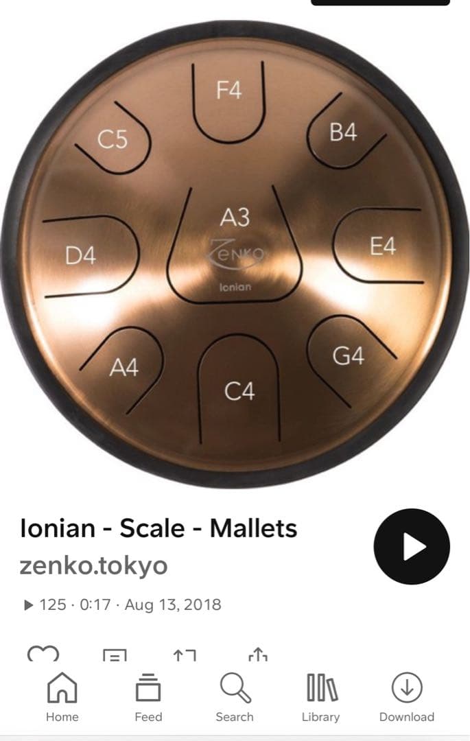 スチールパン　Zenco inonian