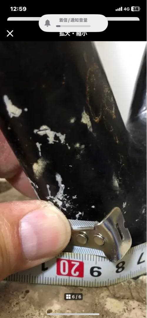 海松　深海松　ブラックコーラル