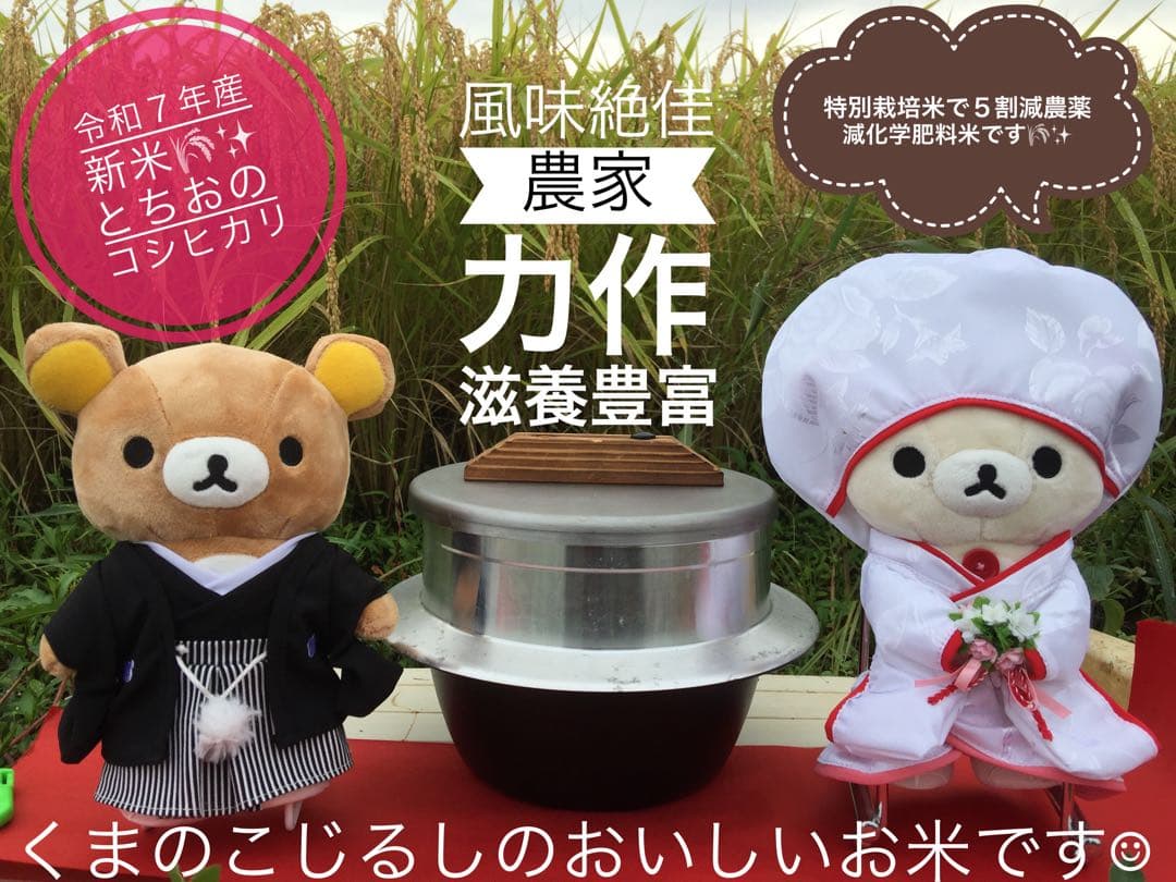 令和7年産新米＊農家力作⭐︎新潟とちおのコシヒカリ精米10kgぴかぴか特別栽培米