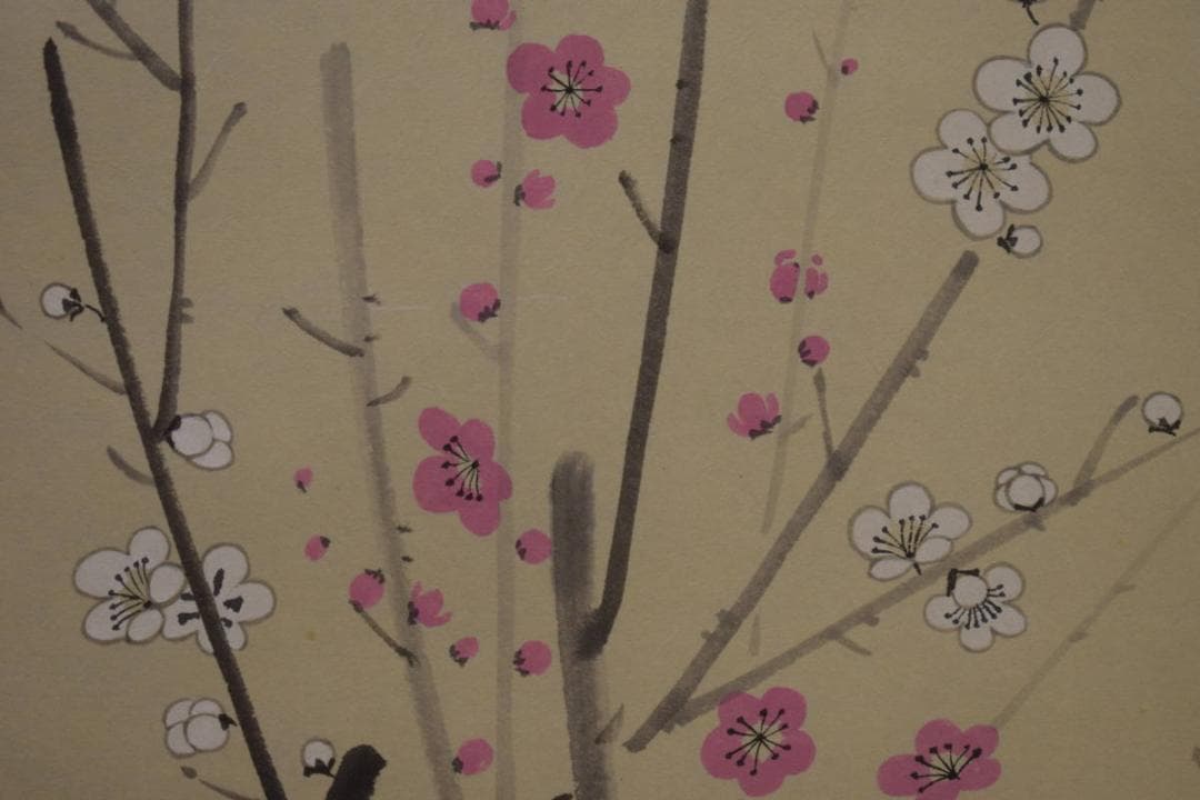 真作/斎藤翠紅/紅白梅鴬図/桐共箱付/布袋屋掛軸HI-911