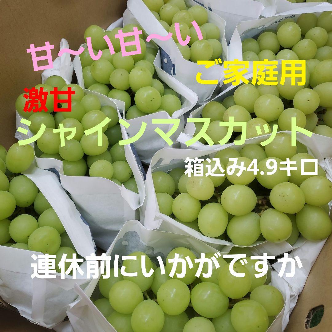 6️⃣ 山梨県産 激甘シャインマスカット １０房入り箱込み4.9キロ