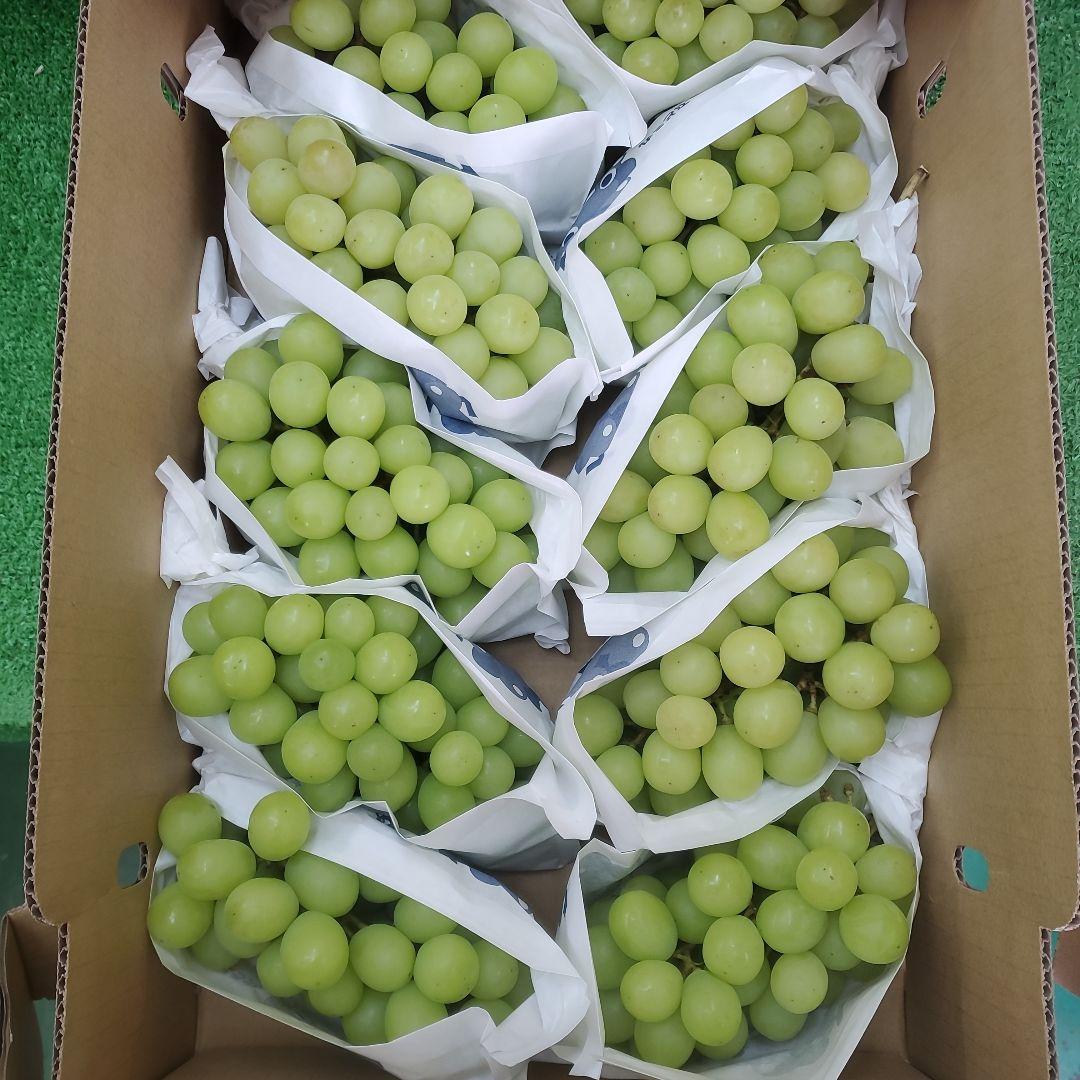 6️⃣ 山梨県産 激甘シャインマスカット １０房入り箱込み4.9キロ