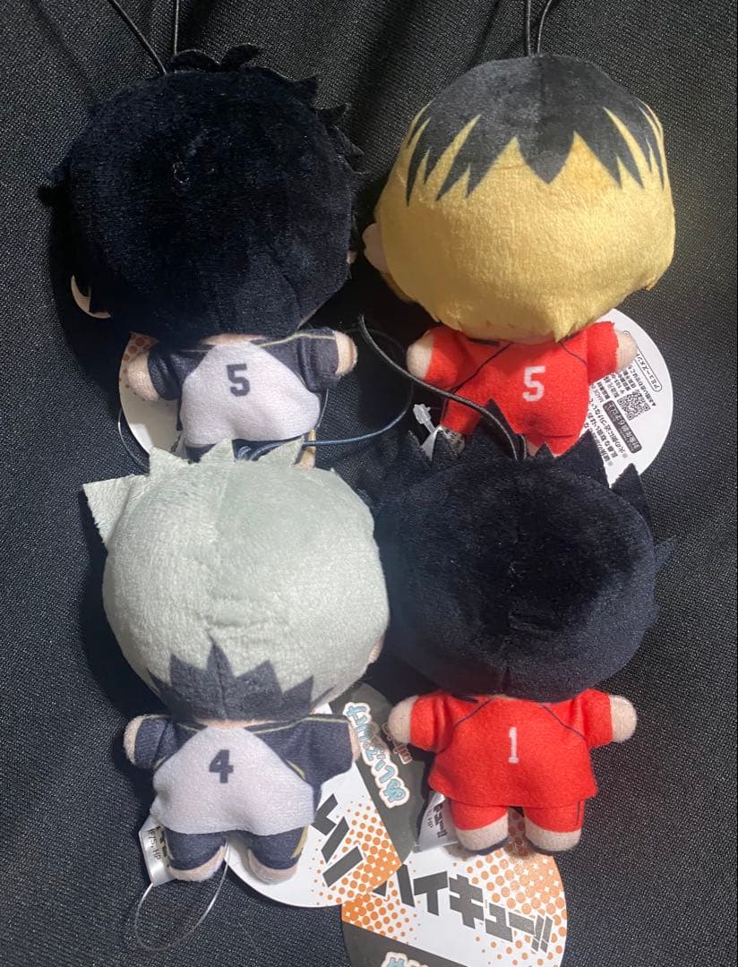 ハイキュー ぬいぷりけmini3、4 全種セット