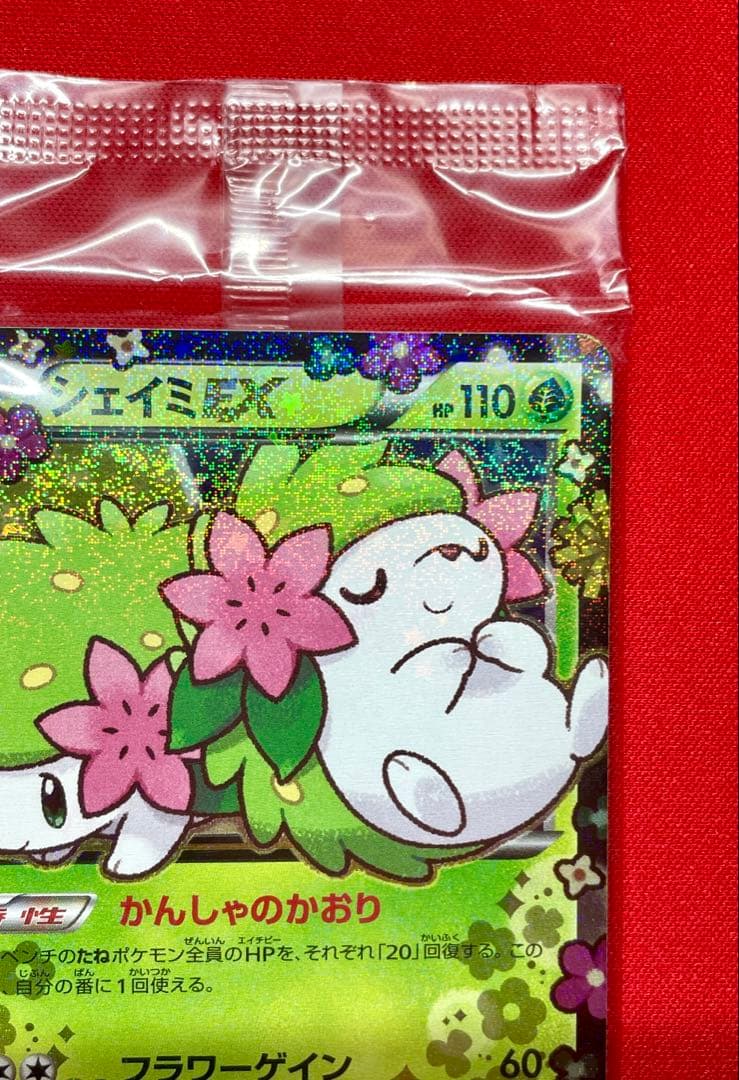 シェイミEX プレミアムポケキュン♥セット プロモ 212/XY-P 未開封