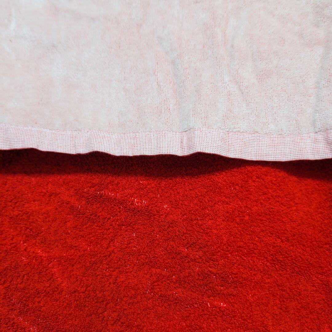 〖新品未使用〗ヒステリックグラマー ヴィクセンガール バスタオル ケース付き