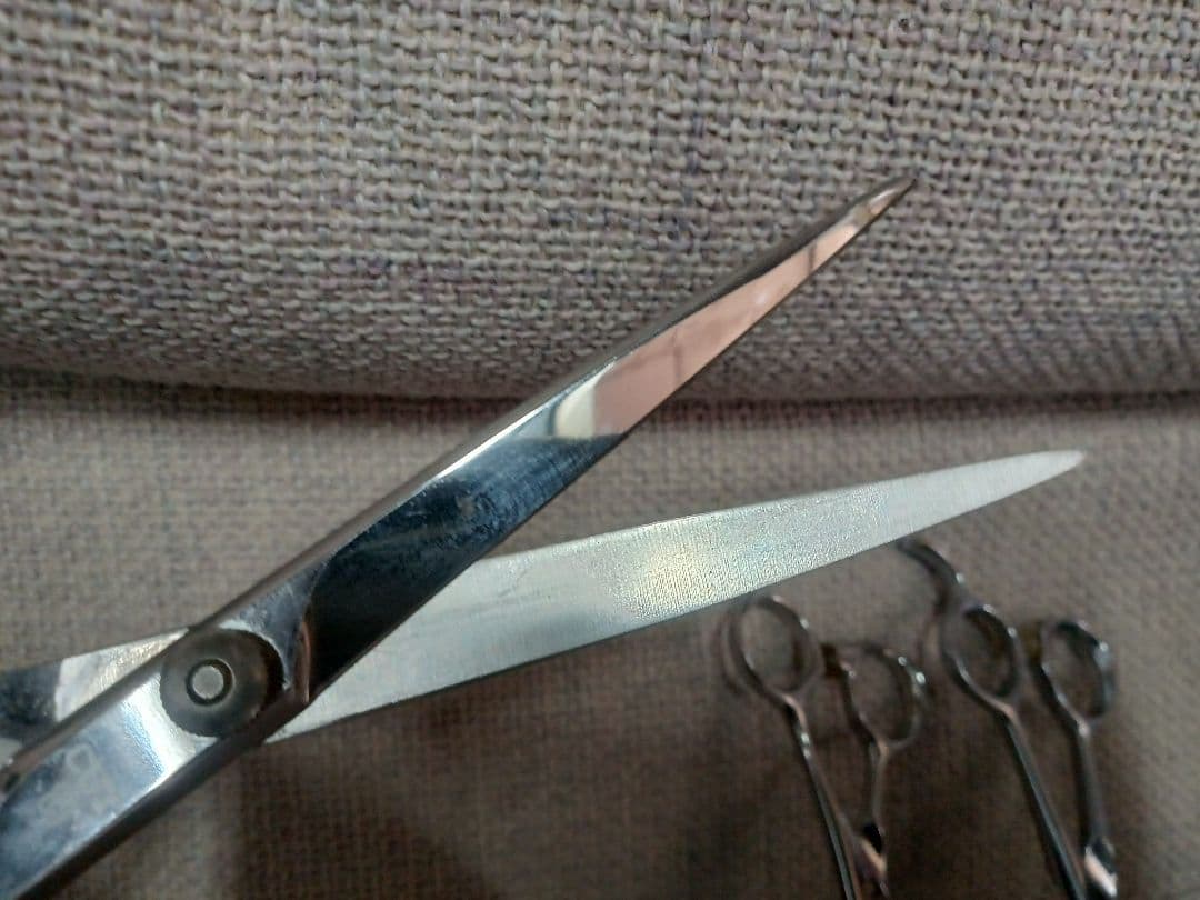 美容カットハサミ　仕上げ　スキニング　ケースセット