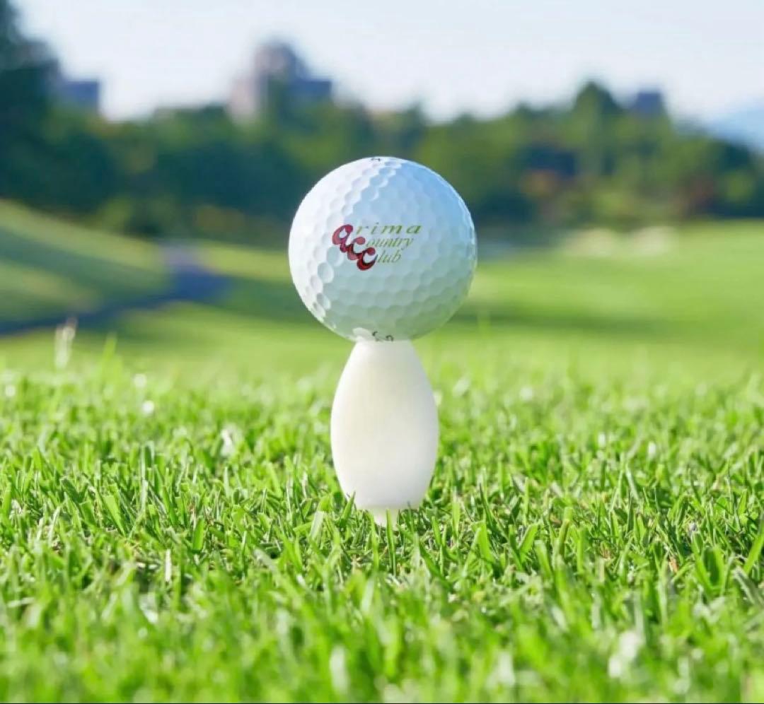 パリティー　蛍光色100本セット　ゴルフティ、グリーンフォーク2役日本製