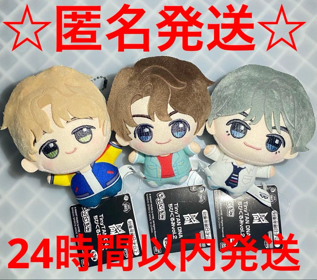 BTS TinyTAN DNA ちびぐるみ ジミン テテ　グク 3種セット