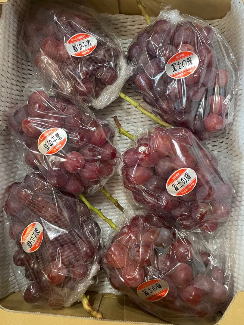 ⑩【岡山県産】富士の輝　約5キロ