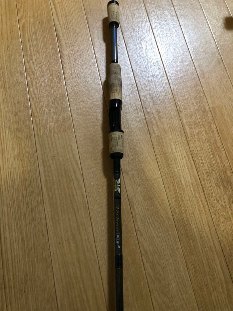fenwick Techna GP フェンウィックテクナGP バスロッド