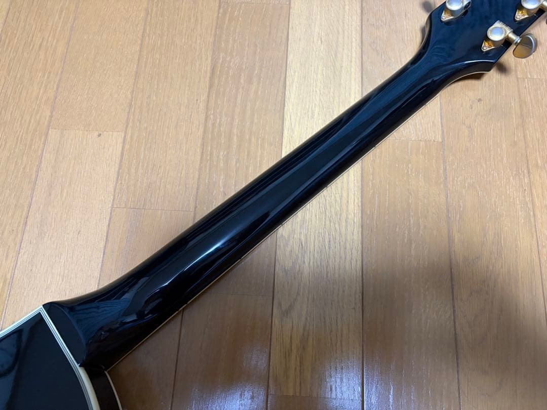 CoolZ ZLC-1 レスポール フジゲン製 エレキギター