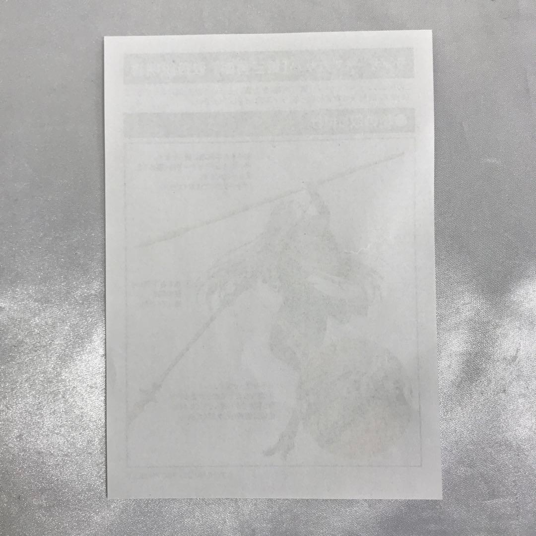 ランサー スカサハ 第三再臨 「Fate/Grand Order」 1/7