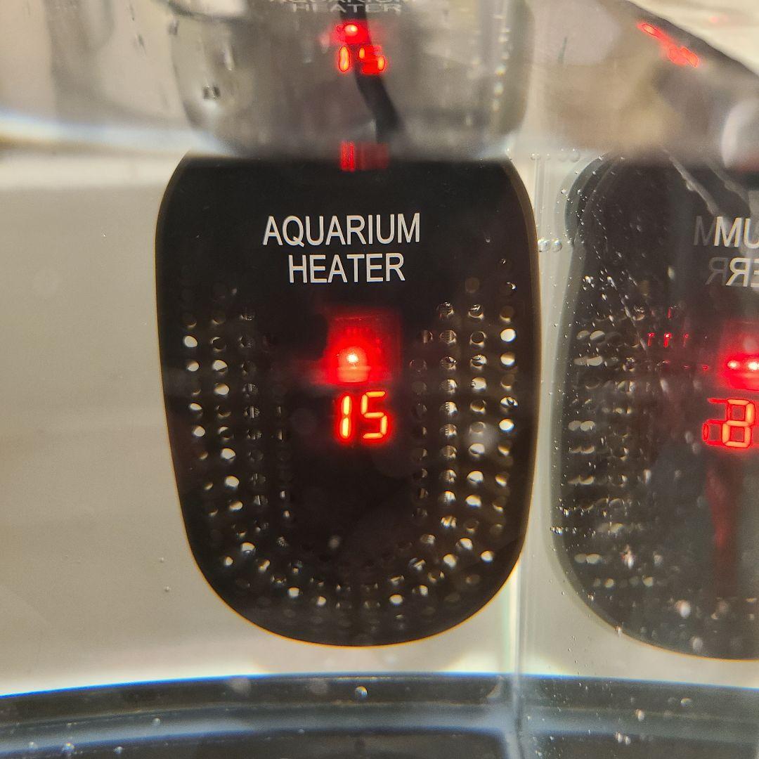 ★2個セット★ GEX ラクテリア ガラス水槽 W34×D17.5×H24cm