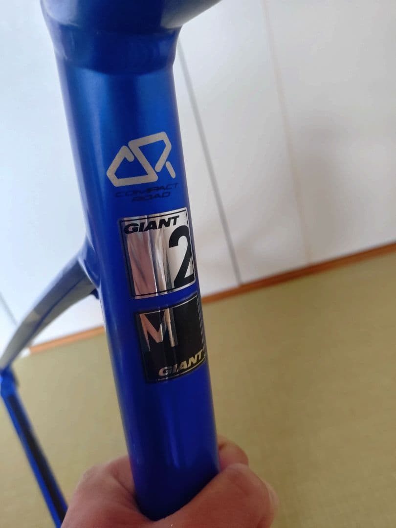 サ*ズ様 Giant　defy2 2016 M　入札可、但し発送が遅れます