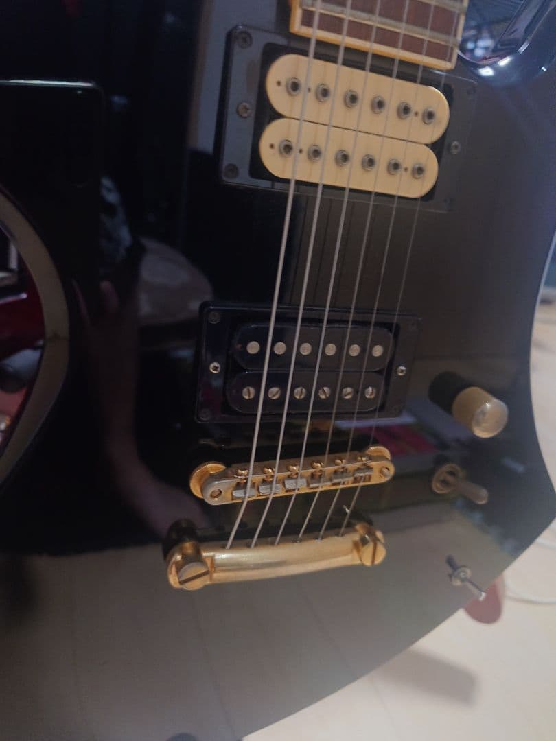 hideモデルモッキンバード　FERNANDS