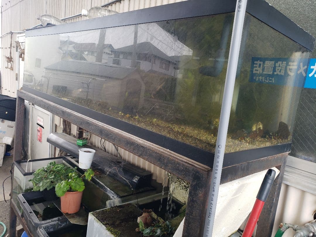 引取限定　1800　オーバーフロー水槽　アクリル　濾過槽　レイシーポンプ