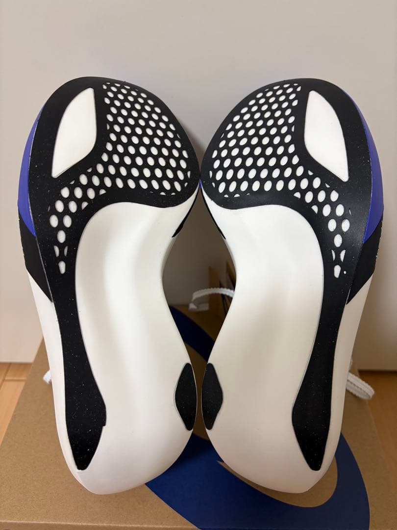 メタスピードレイ 24cm