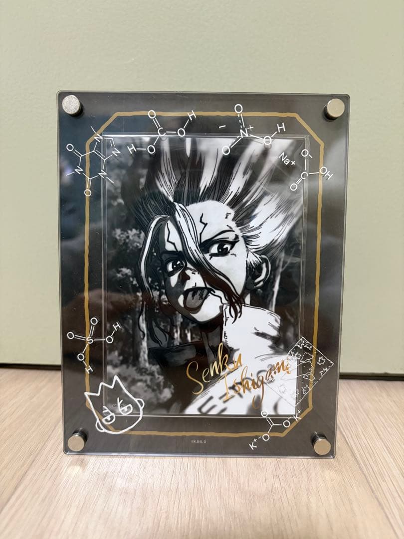 Dr.STONE 石神千空ブロマイド+アクリルフォトフレーム