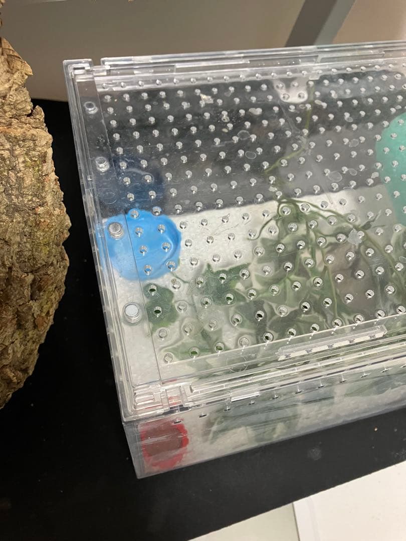 【新品未使用】爬虫類ケージ　ゲージ　アクリル　マグネット　スライド式 4box