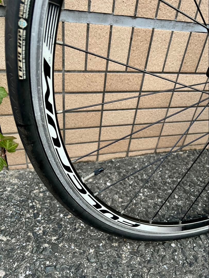 FOCUS CAYO 105 フルカーボンロードバイク