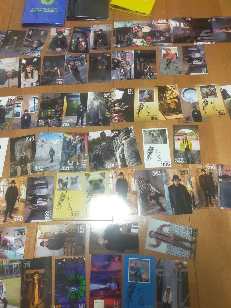 上杉昇　WANDS　コレクタブルカード　セット　ファイル