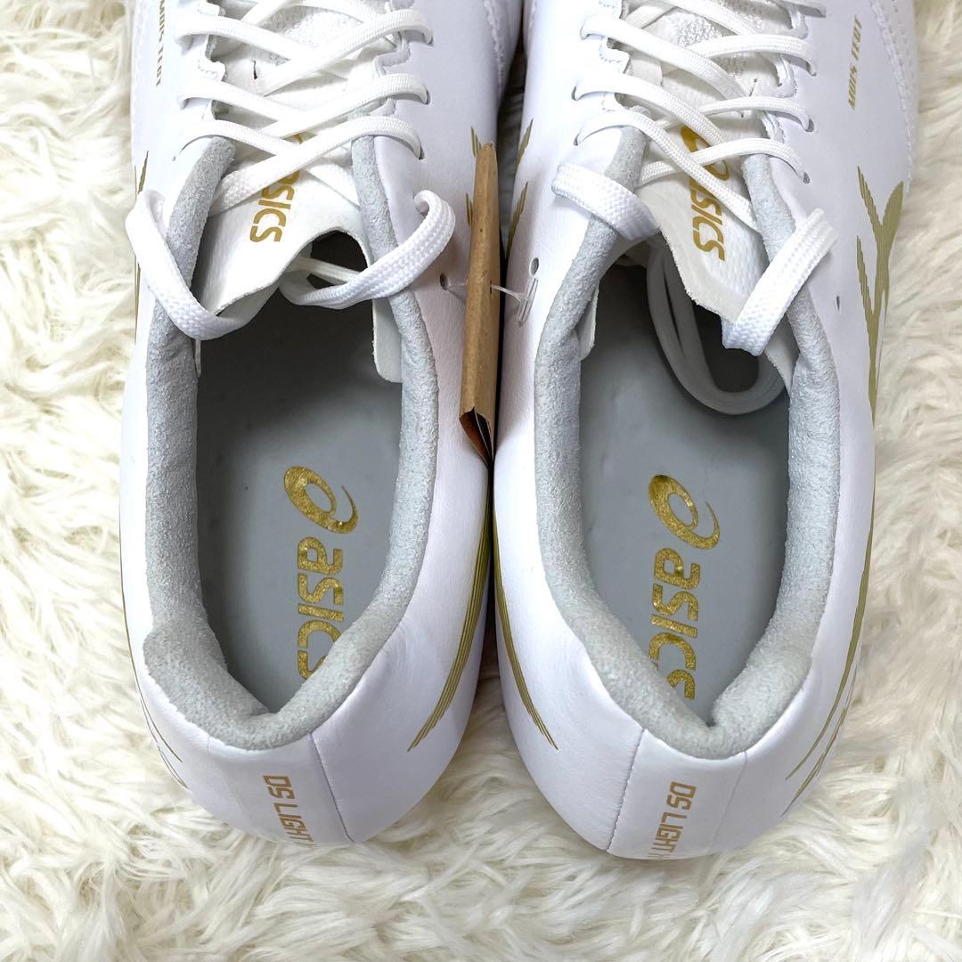 新品 アシックス 27.5cm DS ライト X-FLY PRO ST 限定色