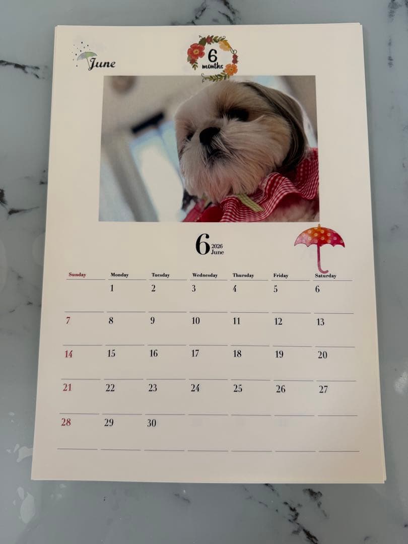 愛犬ちくわ壁掛けカレンダー【オリジナル】