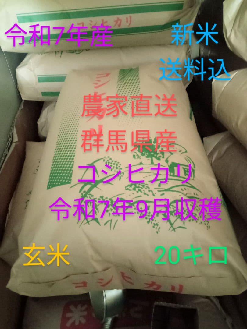 R7年産 新米 群馬県産 コシヒカリ 20キロ 玄米 送料込 ②
