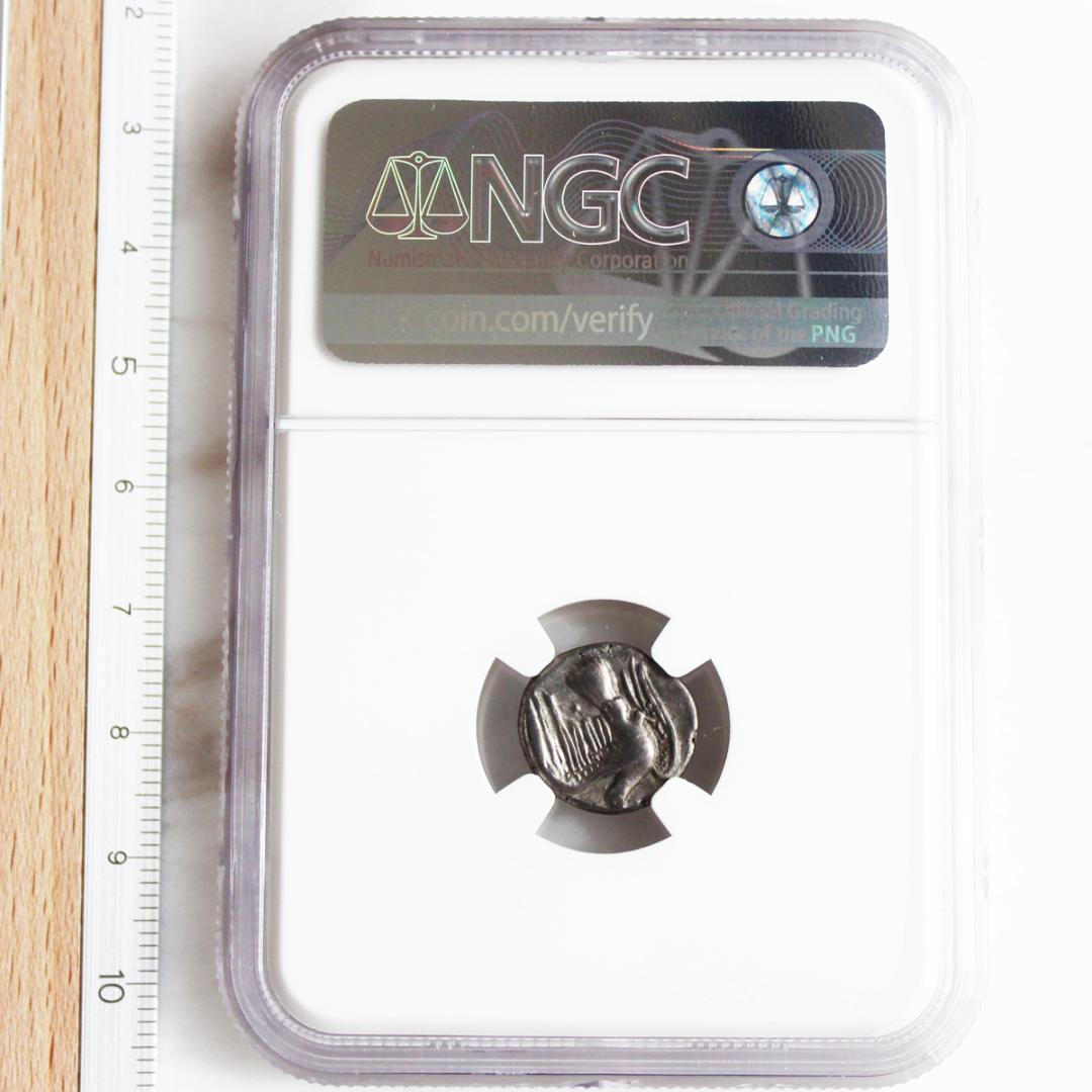 幻獣キマイラ【 VF NGC】シキオン　シキュオン オルボス銀貨　古代ギリシャ