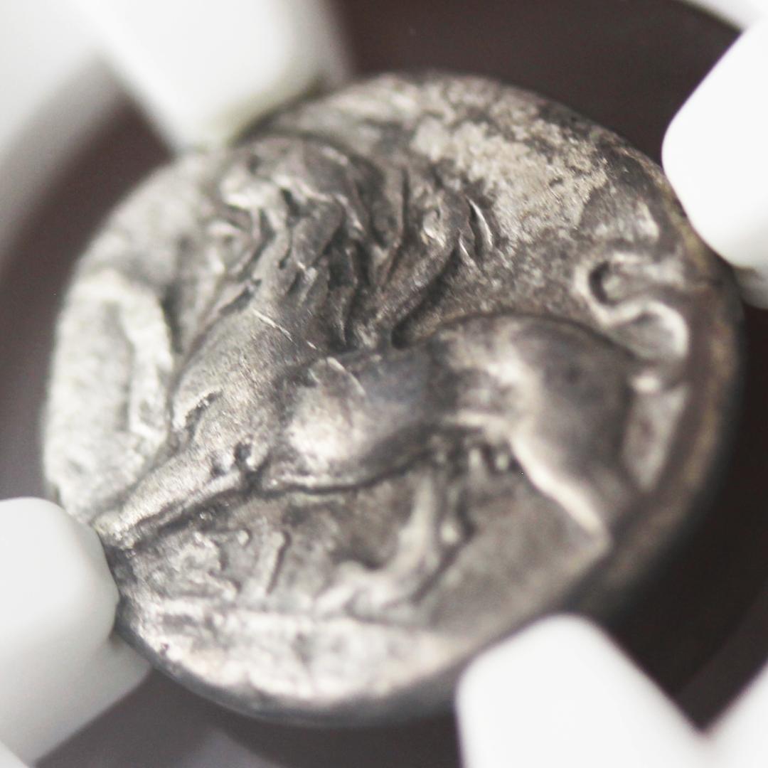 幻獣キマイラ【 VF NGC】シキオン　シキュオン オルボス銀貨　古代ギリシャ